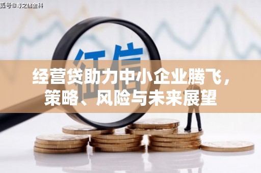 朔城经营贷助力中小企业腾飞，策略、风险与未来展望