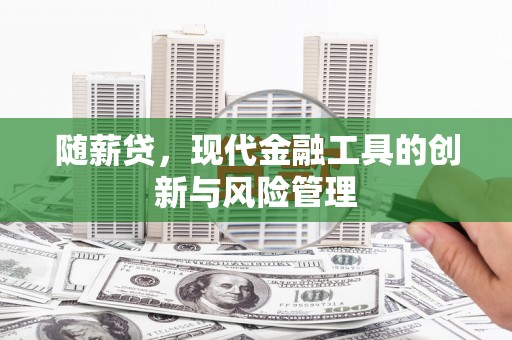 朔城随薪贷，现代金融工具的创新与风险管理