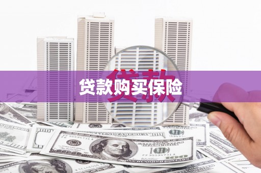 朔城贷款购买保险