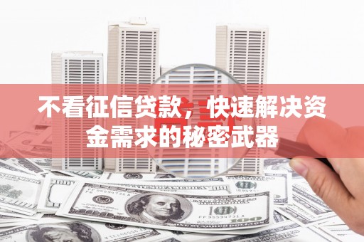 朔城不看征信贷款，快速解决资金需求的秘密武器