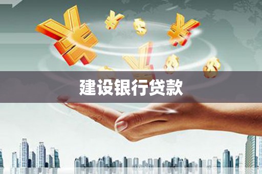 朔城建设银行贷款