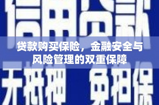 朔城贷款购买保险，金融安全与风险管理的双重保障