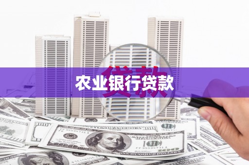 朔城农业银行贷款