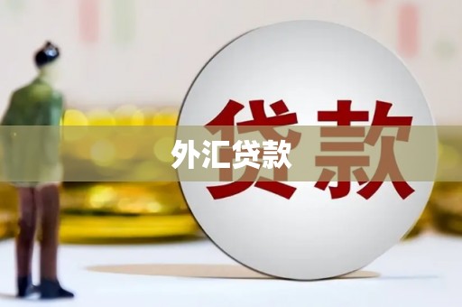 朔城外汇贷款