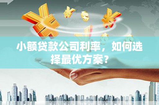 朔城小额贷款公司利率，如何选择最优方案？
