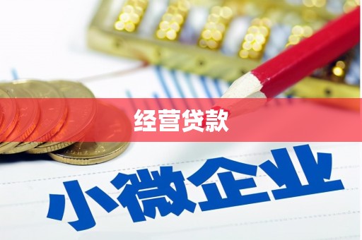 朔城经营贷款