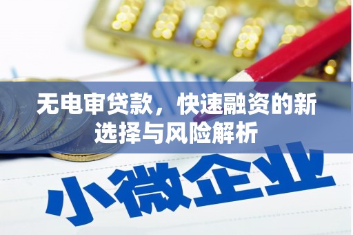 朔城无电审贷款，快速融资的新选择与风险解析