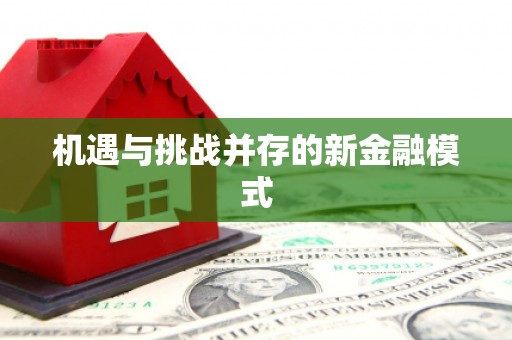 朔城机遇与挑战并存的新金融模式
