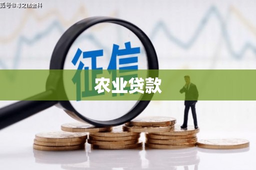 朔城农业贷款
