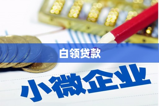 朔城白领贷款