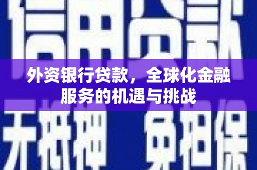 朔城外资银行贷款，全球化金融服务的机遇与挑战