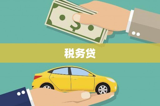 朔城税务贷