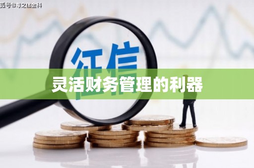朔城灵活财务管理的利器