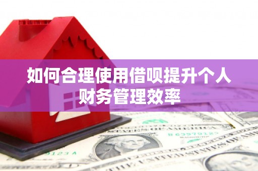 朔城如何合理使用借呗提升个人财务管理效率