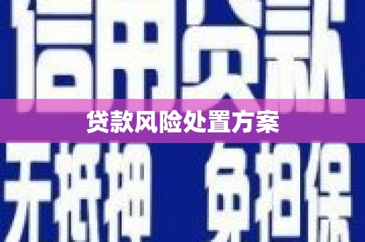 朔城贷款风险处置方案