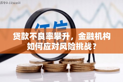 朔城贷款不良率攀升，金融机构如何应对风险挑战？