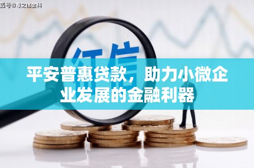 朔城平安普惠贷款，助力小微企业发展的金融利器