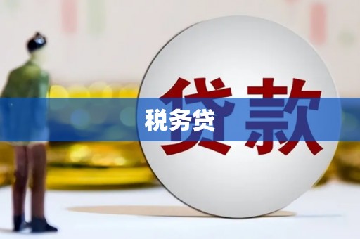 朔城税务贷