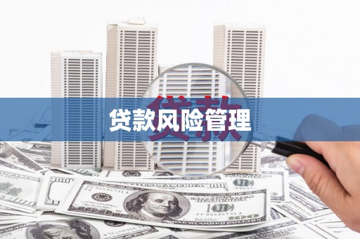 朔城贷款风险管理