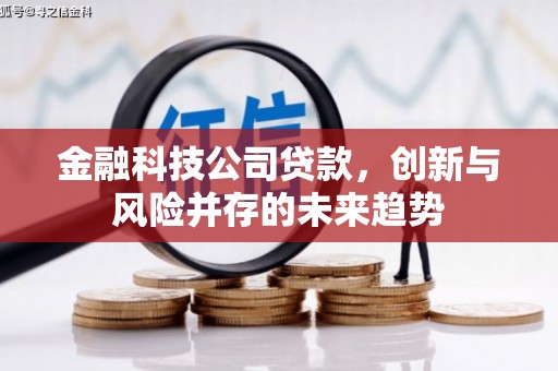 朔城金融科技公司贷款，创新与风险并存的未来趋势
