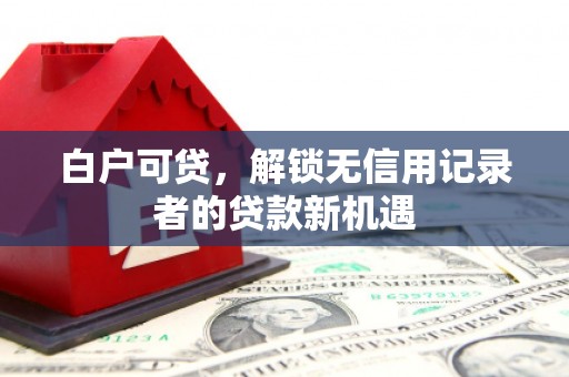 朔城白户可贷，解锁无信用记录者的贷款新机遇