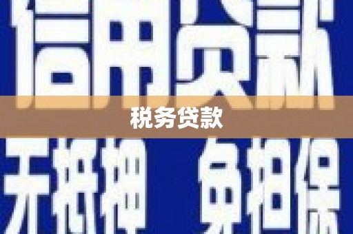 朔城税务贷款