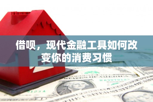 朔城借呗，现代金融工具如何改变你的消费习惯