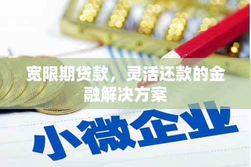 朔城宽限期贷款，灵活还款的金融解决方案