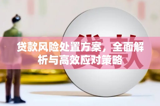 朔城贷款风险处置方案，全面解析与高效应对策略