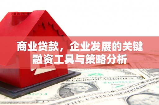 朔城商业贷款，企业发展的关键融资工具与策略分析