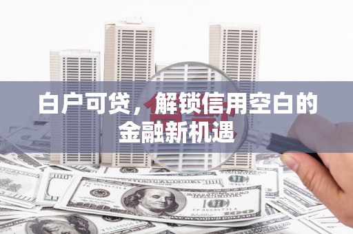 朔城白户可贷，解锁信用空白的金融新机遇