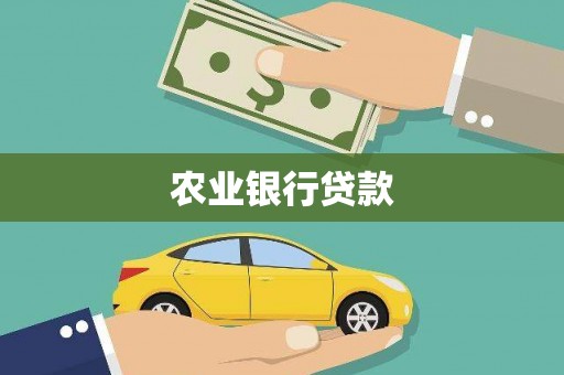 朔城农业银行贷款