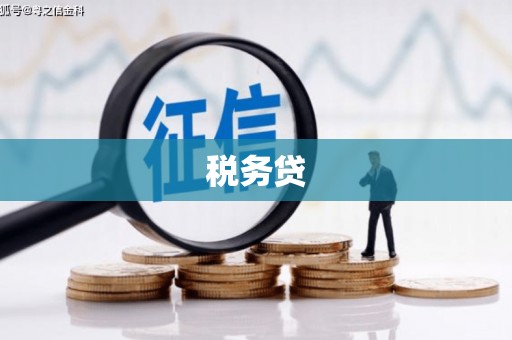 朔城税务贷
