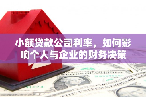 朔城小额贷款公司利率，如何影响个人与企业的财务决策