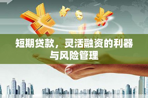 朔城短期贷款，灵活融资的利器与风险管理
