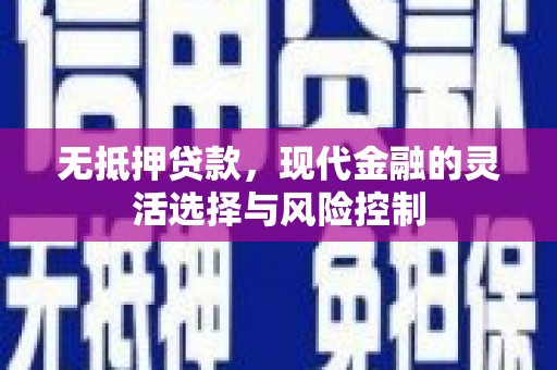 朔城无抵押贷款，现代金融的灵活选择与风险控制