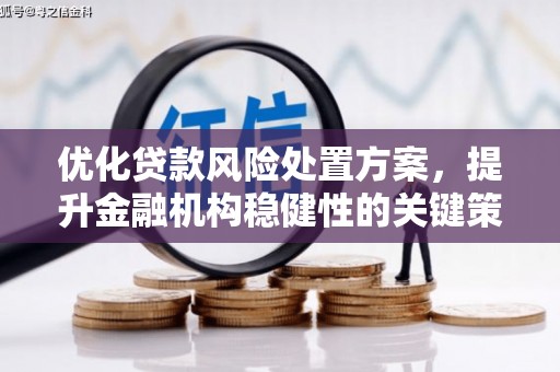 朔城优化贷款风险处置方案，提升金融机构稳健性的关键策略