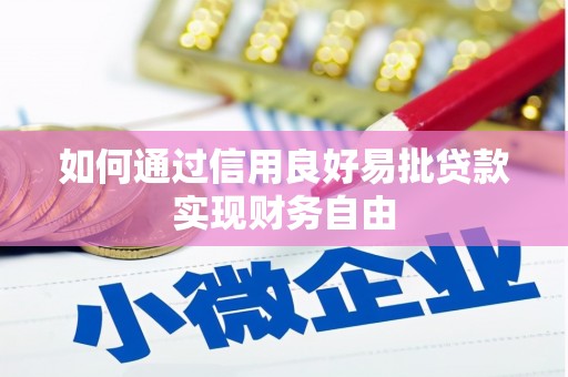 朔城如何通过信用良好易批贷款实现财务自由