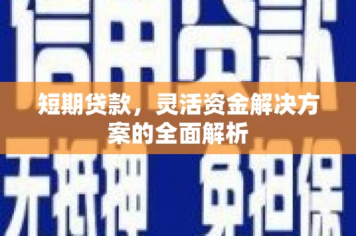 朔城短期贷款，灵活资金解决方案的全面解析