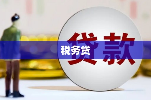 朔城税务贷