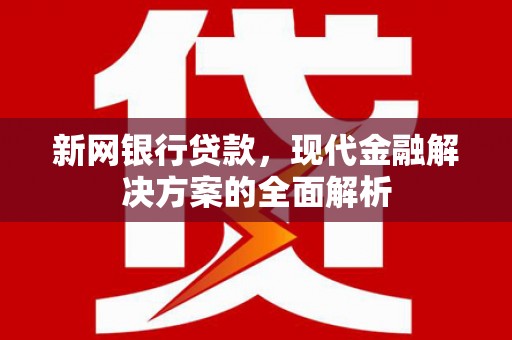 朔城新网银行贷款，现代金融解决方案的全面解析