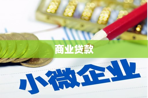朔城商业贷款