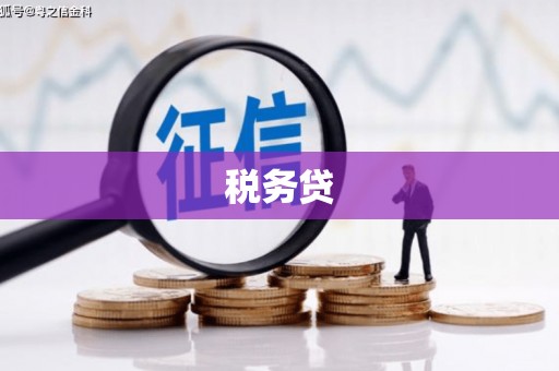 朔城税务贷