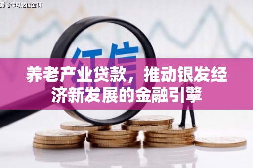 朔城养老产业贷款，推动银发经济新发展的金融引擎