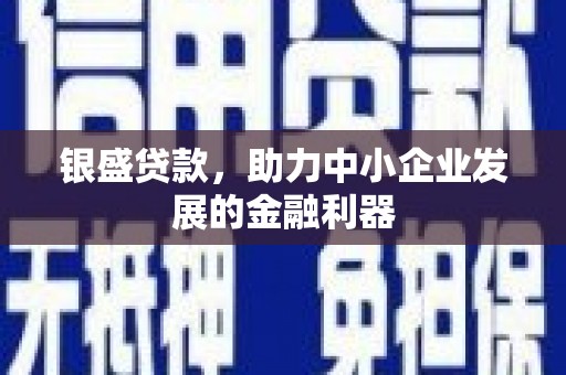 朔城银盛贷款，助力中小企业发展的金融利器