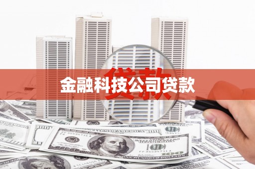 朔城金融科技公司贷款