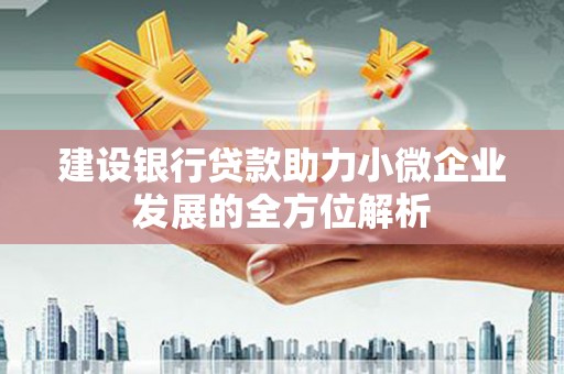 朔城建设银行贷款助力小微企业发展的全方位解析