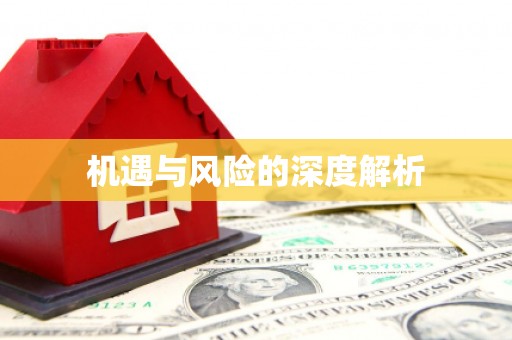 朔城机遇与风险的深度解析