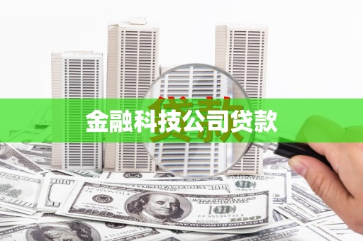 朔城金融科技公司贷款