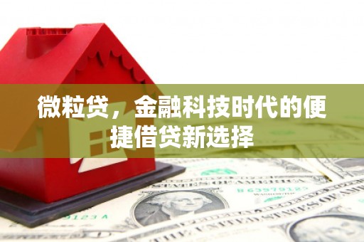 朔城微粒贷，金融科技时代的便捷借贷新选择